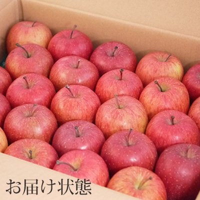 青森県黒石産雪中貯蔵サンふじ家庭用約5kg【配送不可地域：離島】