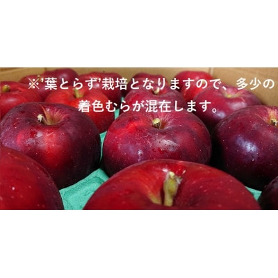 青森県産りんご　’はあと’紅玉　3K箱