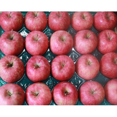 【訳あり】鎌田林檎園直送!太陽をいっぱい浴びたりんご 甘酸適和のサンふじ 5kg箱(14個～23個)