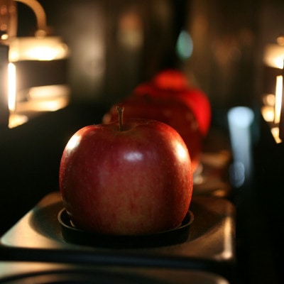 【R7年12月中旬～発送予定】訳あり 青森県産りんご「サンふじ」 約5kg(12～25個)【配送不可地域：離島・沖縄県】