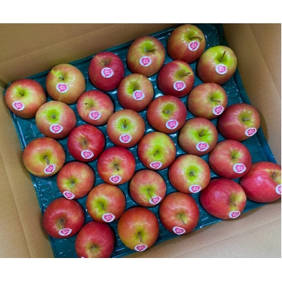 【極小サイズ】鎌田林檎園直送!　キュンとする爽快な酸味りんご!!希少品種　ピンクレディ 5キロ箱使用