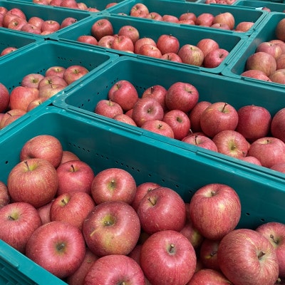 ストレートりんごジュース＆りんご【サンふじ】セット　5kg箱