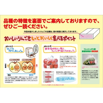 【令和7年産・先行予約】糖度13度選果 サンふじ 約2.5kg 鮮度保持剤・保存用ポリ袋付【配送不可地域：離島・沖縄県】