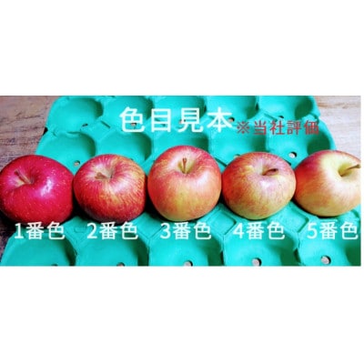 サンふじ　3K箱(約3kg)【美味しさ長持ち!スマートフレッシュ処理】【配送不可地域：離島】