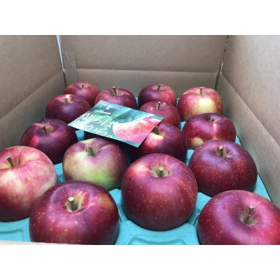 青森りんご　恋空(こいぞら)　家庭用　約5kg　お盆の頃に収穫　真夏の本格派りんご　約18個入り【配送不可地域：離島】