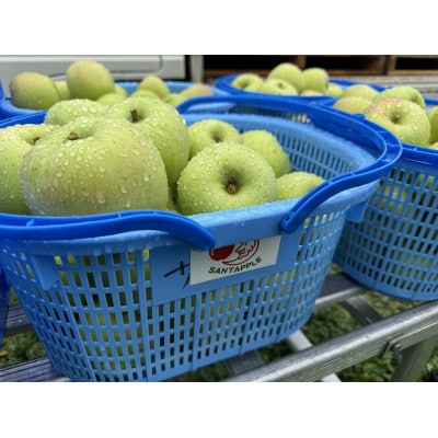 青森県産　黄王(きおう)　贈答用　約3kg　和梨の様なシャキシャキ食感の、軽やかな甘さの夏りんご【配送不可地域：離島】