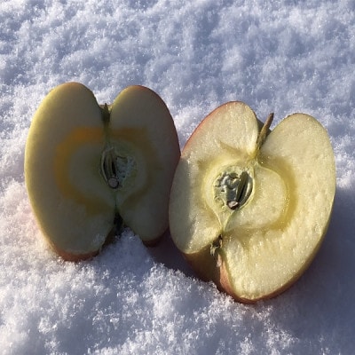 りんごと言えば、本場青森県産サンふじ　贈答用　約3kg　9個前後入り　農家直送　蜜入り期待大!【配送不可地域：離島】