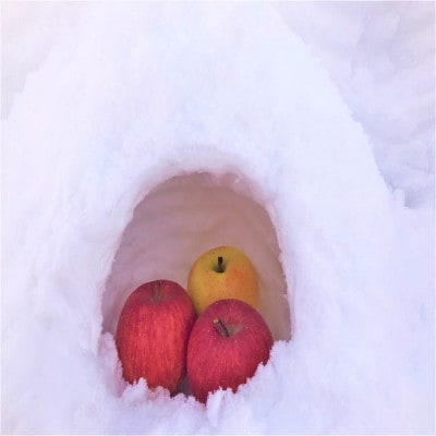 蔵出し春りんご　葉とらずサンふじ　小玉　約3キロ(13個前後入)　実が硬めで食感良好【配送不可地域：離島】