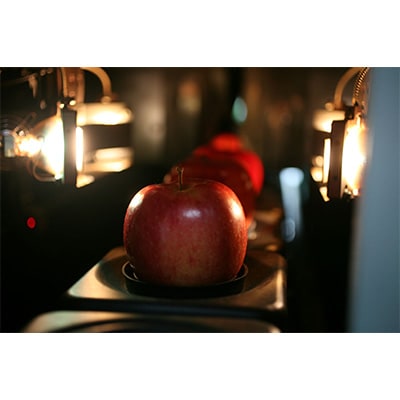 【発送月固定定期便】R8年1月発送開始 青森県産りんご　月替わりでお届けします全3回【配送不可地域：離島・沖縄県】