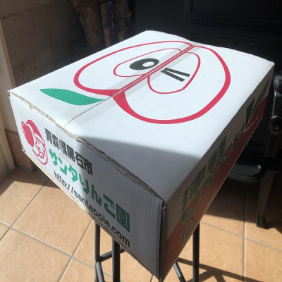 早生ふじ＆トキ　贈答用約5kg　りんご中生種、一押し詰合せ!　10月上旬より発送【配送不可地域：離島】