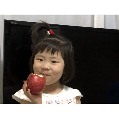 園主おススメ!　旬のりんご詰め合わせ　【贈答用】　約5キロ　4品種食べ比べ