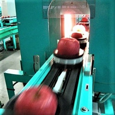 サンふじ×その他品種　約10kg【津軽みらい農業協同組合の青森県産りんご】