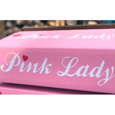 鎌田林檎園直送!　キュンとする爽快な酸味りんご!!希少品種　ピンクレディ　