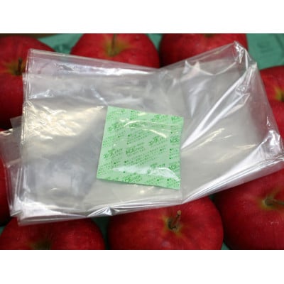 【R7年12月中旬～発送予定】訳あり 青森県産りんご「サンふじ」 約5kg(12～25個)【配送不可地域：離島・沖縄県】