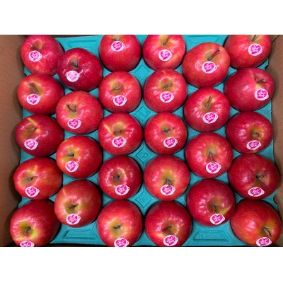 【極小サイズ】鎌田林檎園直送!　キュンとする爽快な酸味りんご!!希少品種　ピンクレディ 5キロ箱使用