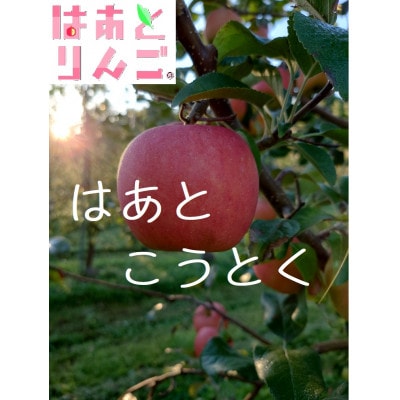 青森県産りんご　「はあと」こうとく 3K箱