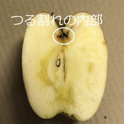 園主おススメ!　旬のりんご詰め合わせ　【家庭用】　約5キロ　おまかせ4種食べ比べ