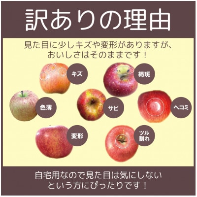平均糖度13度以上! サンふじ 約10kg 訳あり【配送不可地域：沖縄県】