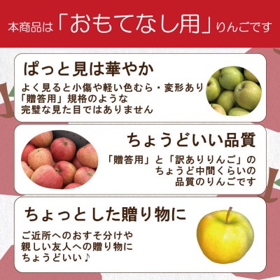 【26年1月より順次発送】平均糖度13度以上! 葉とらずサンふじ 約10kg おもてなし用【配送不可地域：沖縄県】