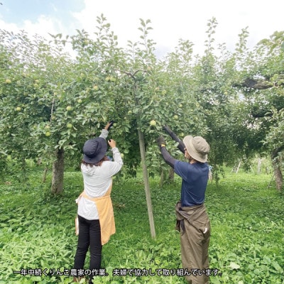 青森県黒石市上十川産サンふじ100%使用　無添加　いちからつくったりんごジュース　1L×6本セット