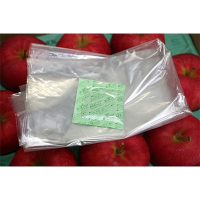 【発送月固定定期便】R7年12月発送開始 青森県産りんご　月替わりでお届けします全3回【配送不可地域：離島・沖縄県】