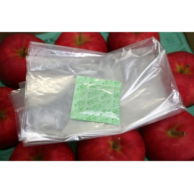 【発送月固定定期便】R7年9月発送開始　青森県産りんご　月替わりでお届けします全3回【配送不可地域：離島・沖縄県】