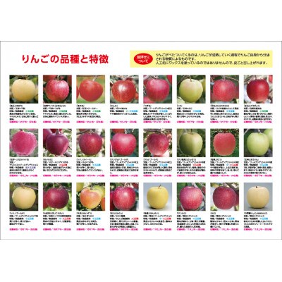 【発送月固定定期便】〈2024年12月より順次発送〉甘味系・青森県産りんご約3kg 全3回【配送不可地域：離島・沖縄県】