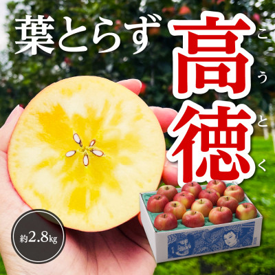 【令和7年11月上旬～発送】今年もお届け。味にこだわる生産者から「葉とらずこうとく」2.8kg【配送不可地域：離島】