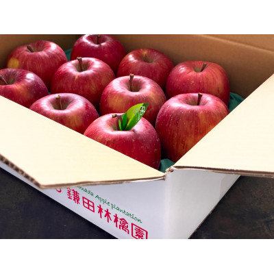 鎌田林檎園直送!　こだわりの個性派　葉隠れサンふじ　約3kg 【スタンダード品】