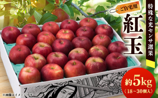 【ご自宅用　紅玉　令和7年9月下旬～発送】約5k(18～30個入)黒昇会DB箱入　特殊な光センサ選果【配送不可地域：離島】