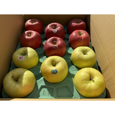 早生ふじ＆トキ　贈答用約5kg　りんご中生種、一押し詰合せ!　10月上旬より発送【配送不可地域：離島】