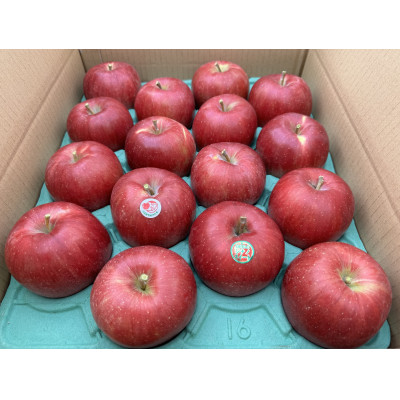 爽やかな甘さにサクッと食感　青森県産　シナノスイート　贈答用　約5kg　農家直送