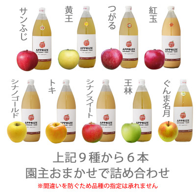 無添加 品種おまかせりんごジュース6本入(6種飲み比べ)