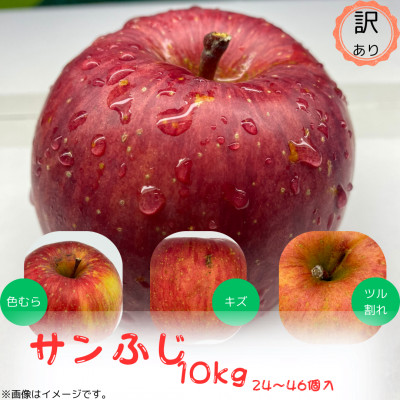 訳ありりんご【サンふじ】10kg(24～46個入)　【令和7年11月下旬～随時発送開始】【配送不可地域：離島・沖縄県】