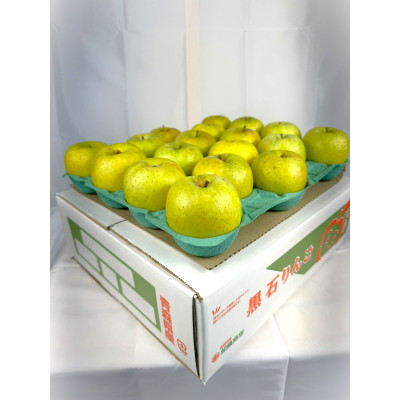 糖度保証!!　令和6年産　訳あり品　王林10kg(26個～46個)【令和7年12月中旬より順次発送】【配送不可地域：離島・沖縄県】