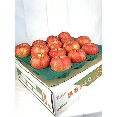 令和7年10月～順次発送　酸味ですっきり　訳ありサンジョナゴールド　10kg(26～40個入)【配送不可地域：離島・沖縄県】