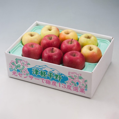 【令和7年産・先行予約】糖度13度選果サンふじ＆名月りんご 約2.5kg鮮度保持剤・保存用ポリ袋付【配送不可地域：離島・沖縄県】