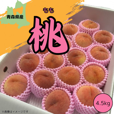 青森県産 　本州最北端の桃 　4.5kg(12～20玉)　【2026年8月中旬ごろ～発送開始】【配送不可地域：離島】