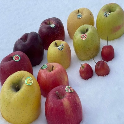 園主おススメ!　旬のりんご詰め合わせ　【家庭用】　約5キロ　おまかせ4種食べ比べ