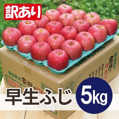 【25年10月より順次発送】平均糖度12度以上! 早生ふじ 約5kg 訳あり【配送不可地域：沖縄県】