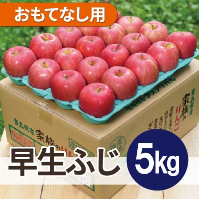 【25年10月より順次発送】平均糖度12度以上! 早生ふじ 約5kg おもてなし用【配送不可地域：沖縄県】