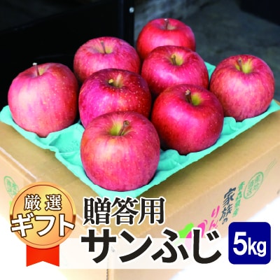 平均糖度13度以上! サンふじ 約5kg 贈答【配送不可地域：沖縄県】