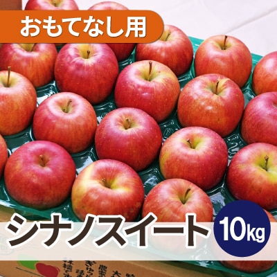 【26年4月より順次発送】平均糖度13度以上! シナノスイート 約10kg おもてなし用  クール便【配送不可地域：離島・沖縄県】
