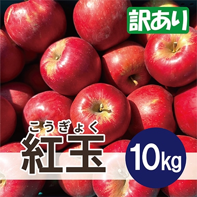  紅玉 約10kg 訳あり【配送不可地域：沖縄県】