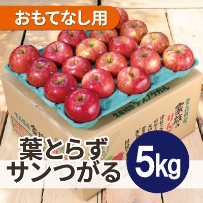 【25年9月より順次発送】平均糖度12度以上! 葉とらずサンつがる約5kg おもてなし用  クール便【配送不可地域：離島・沖縄県】
