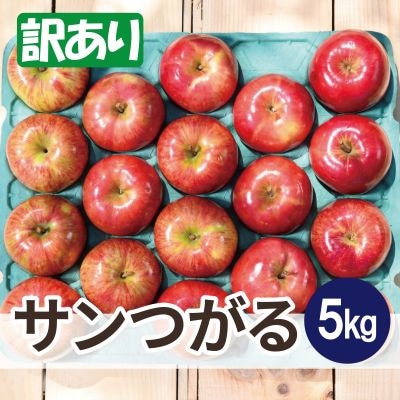 平均糖度12度以上! サンつがる 約5kg 訳あり  クール便【配送不可地域：離島・沖縄県】