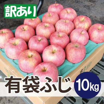 【26年6月出荷予定】平均糖度13度以上! 有袋ふじ 約10kg 訳あり CA貯蔵 クール便【配送不可地域：離島・沖縄県】