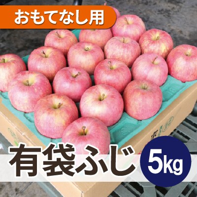 【26年3月出荷予定】平均糖度13度以上! 有袋ふじ 約5kg おもてなし用【配送不可地域：沖縄県】