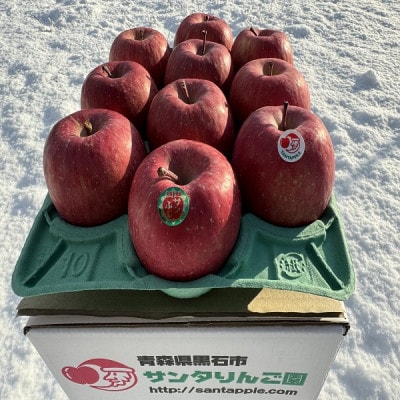りんごと言えば、本場青森県産サンふじ　贈答用　約3kg　9個前後入り　農家直送　蜜入り期待大!【配送不可地域：離島】