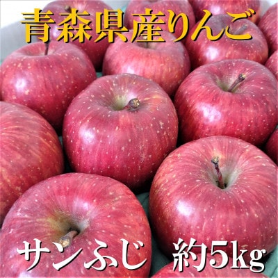 サンふじ　約5kg【津軽みらい農業協同組合の青森県産りんご】